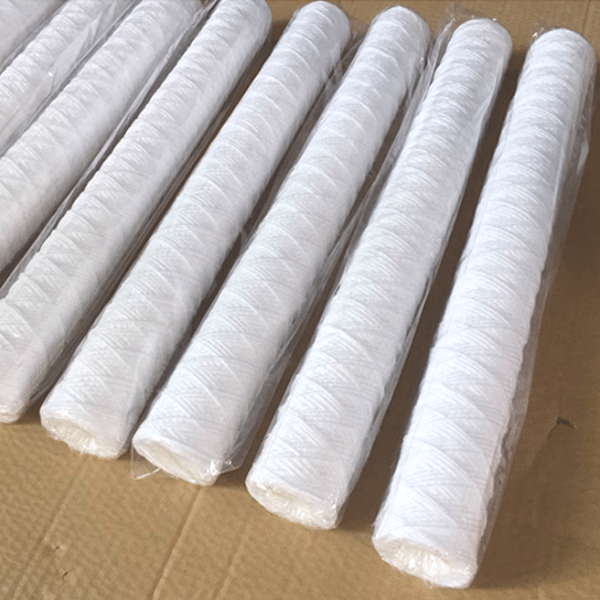 Quelles sont les principales caractéristiques et avantages des cartouches de filtre à eau de 100 microns ?